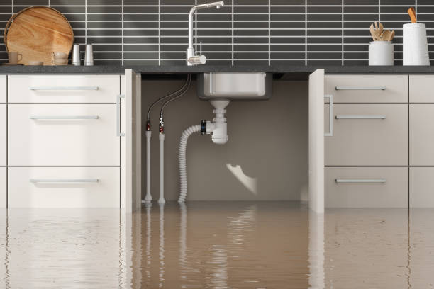 Best Crawl Space Water Damage Solutions in Church Hill, TN